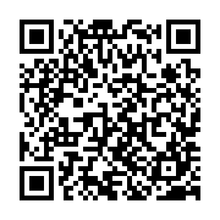 QR code for SFN384
