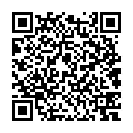 QR code for SGF6389