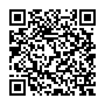 QR code for SGP0133