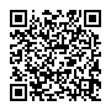 QR code for SIE333