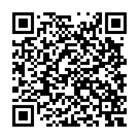 QR code for SIN067