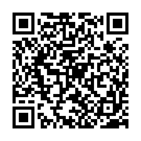 QR code for SKI992