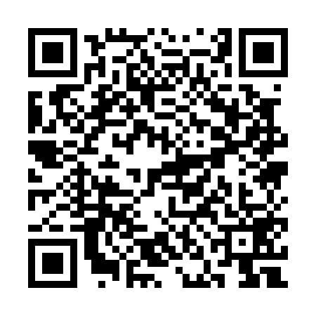 QR code for SNA0599