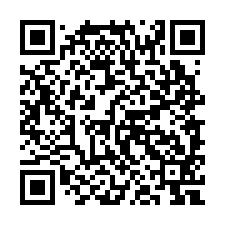 QR code for SNT393