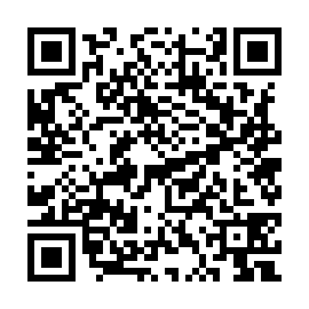 QR code for STW9381