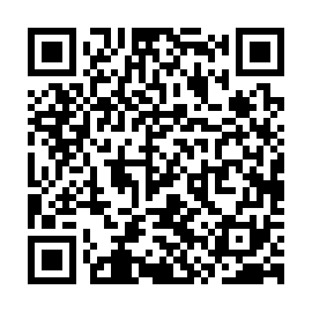 QR code for SVP371
