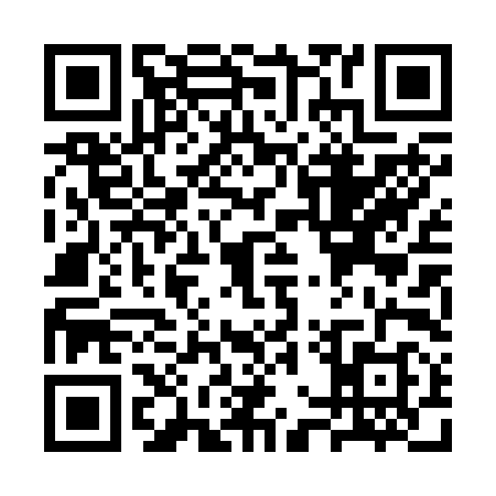 QR code for SWP2987