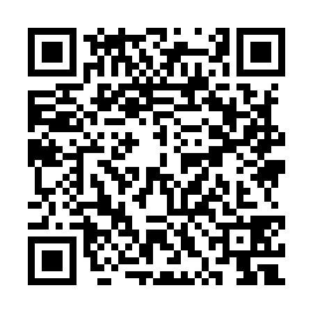 QR code for SXI9389