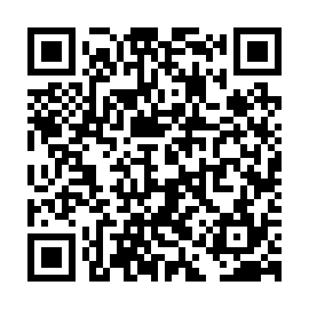 QR code for TAV234
