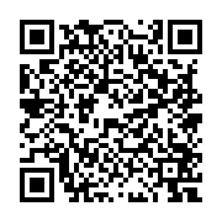 QR code for TCA9438