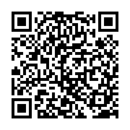 QR code for TDG041