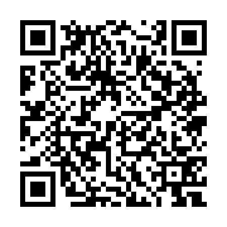 QR code for THQ2738