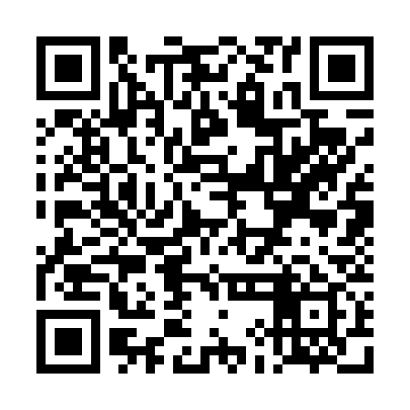 QR code for TIC439