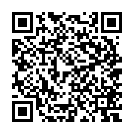 QR code for TIE6496