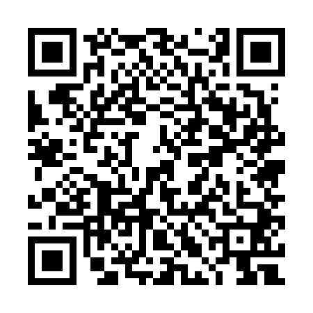 QR code for TLE6404