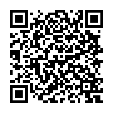 QR code for TOY063