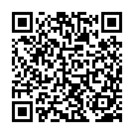 QR code for TOY248