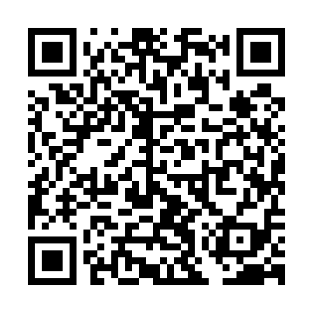 QR code for TOY519