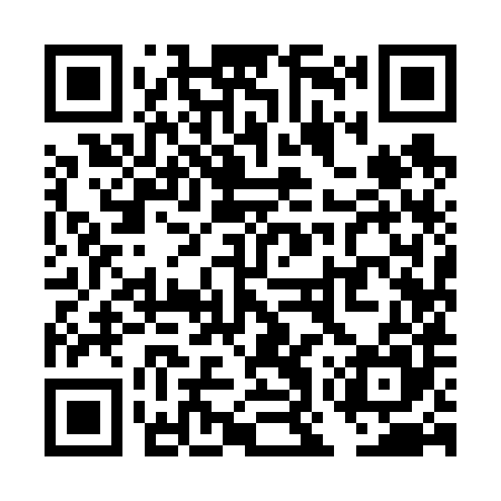 QR code for TOY685