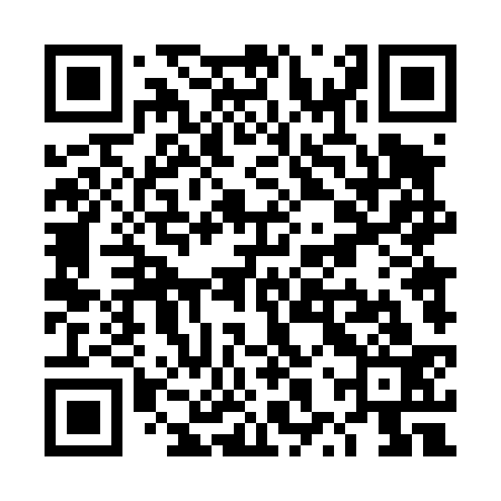 QR code for TXT433