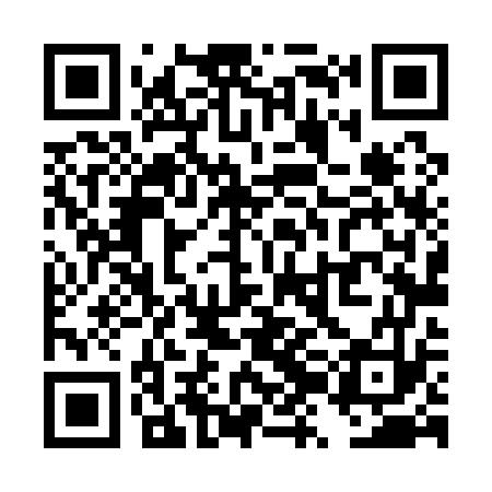 QR code for TZL173