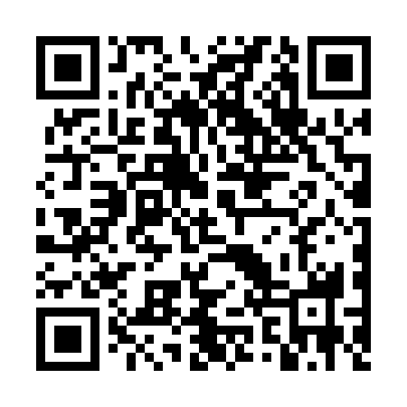QR code for TZV038