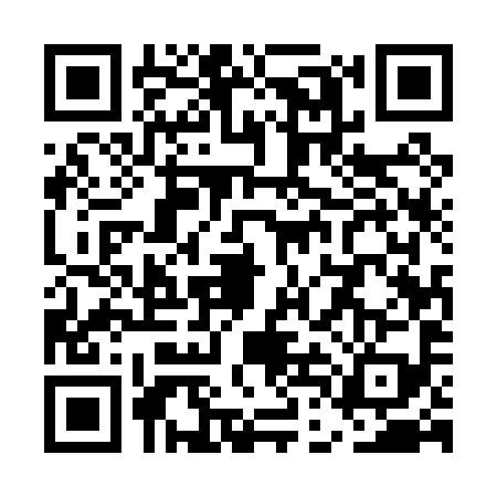 QR code for UDE0991