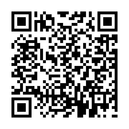 QR code for UDF9658