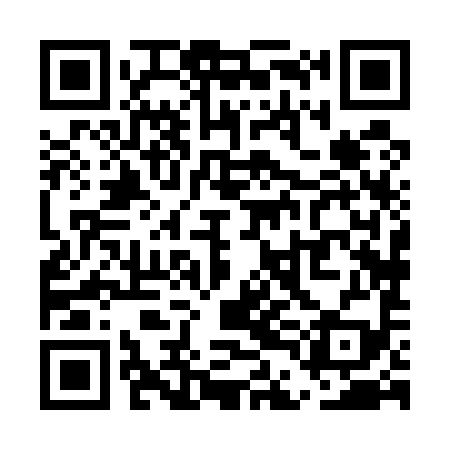 QR code for UDH599