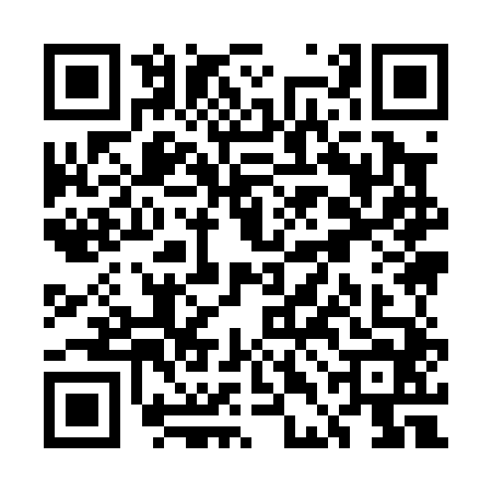 QR code for UDI0447