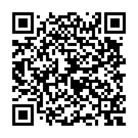 QR code for VBM411