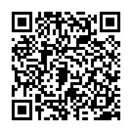 QR code for VIN0233