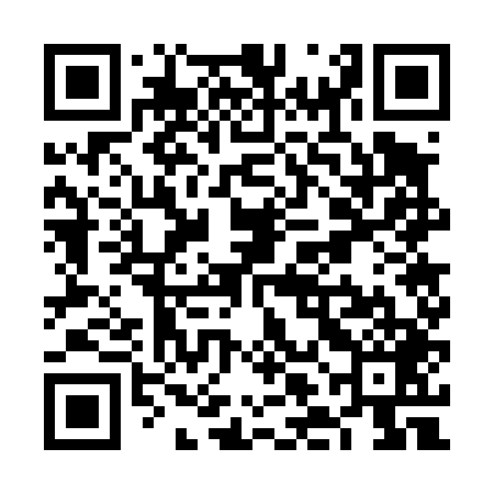 QR code for VLG449