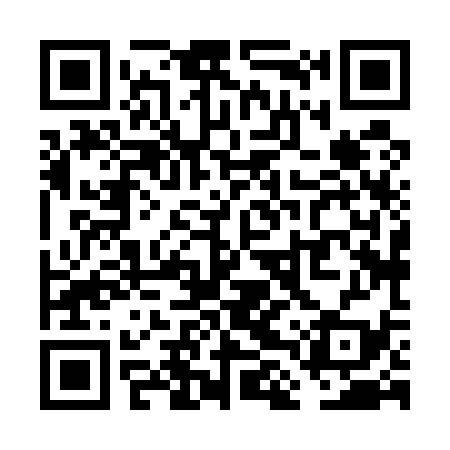 QR code for VLX539
