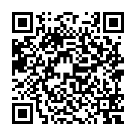 QR code for VSI1993