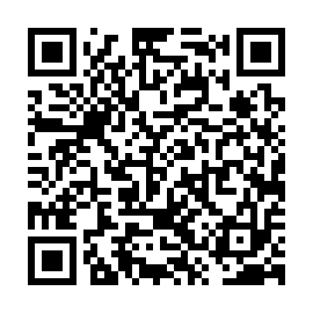 QR code for VST313