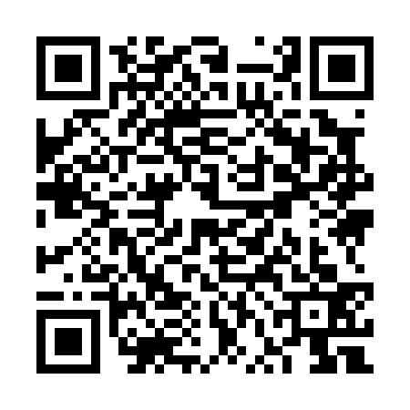 QR code for VVI0333