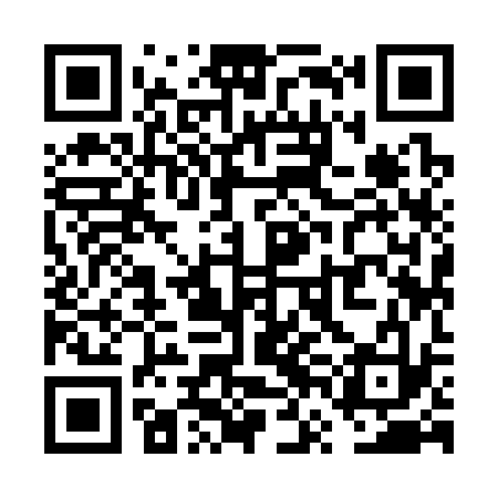 QR code for VVI333