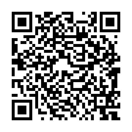 QR code for VVL2951