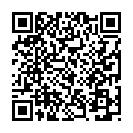 QR code for VWM3384