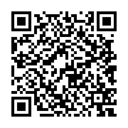 QR code for VZD0379