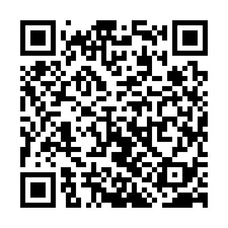 QR code for WAI339