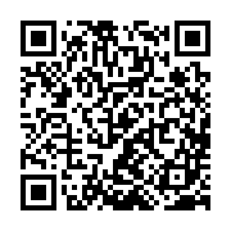 QR code for WIP383