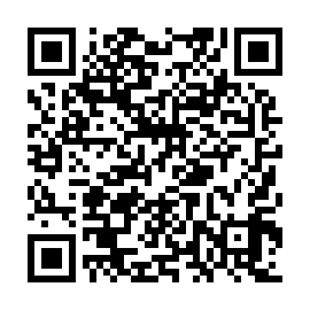 QR code for WLP919