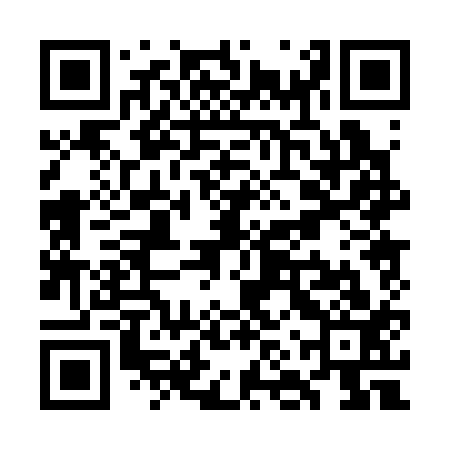QR code for WNP313