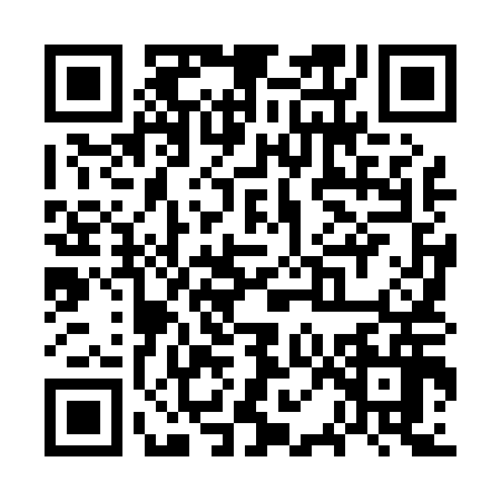 QR code for WPL0161