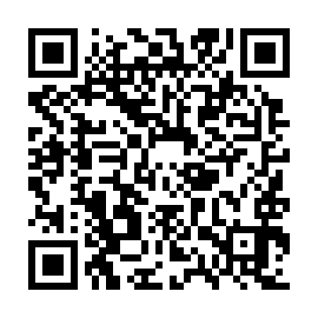 QR code for WQT393