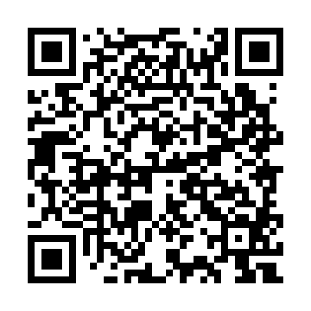 QR code for WRX384