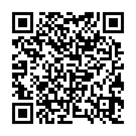 QR code for WSG333
