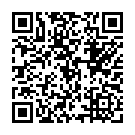 QR code for WSL2993